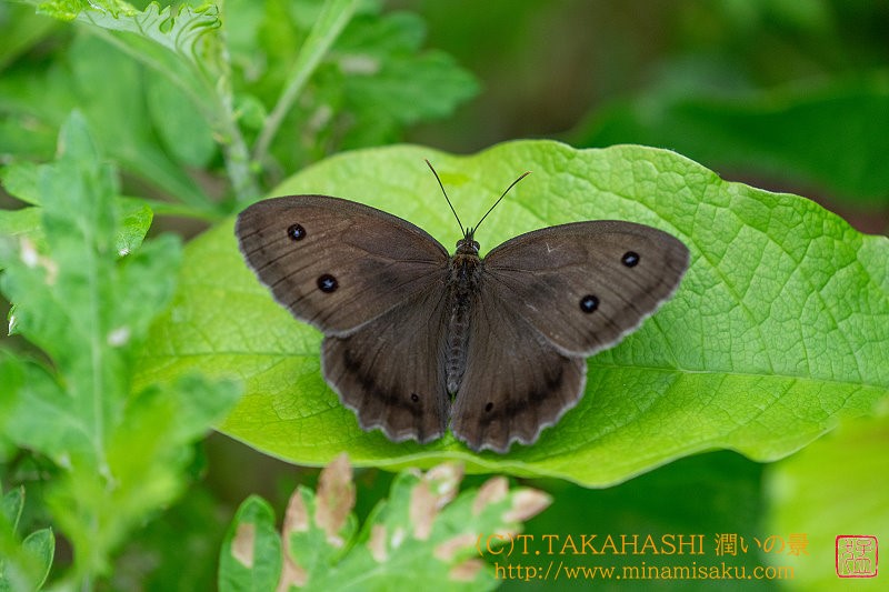 ../Images/7R240715 (60).jpg